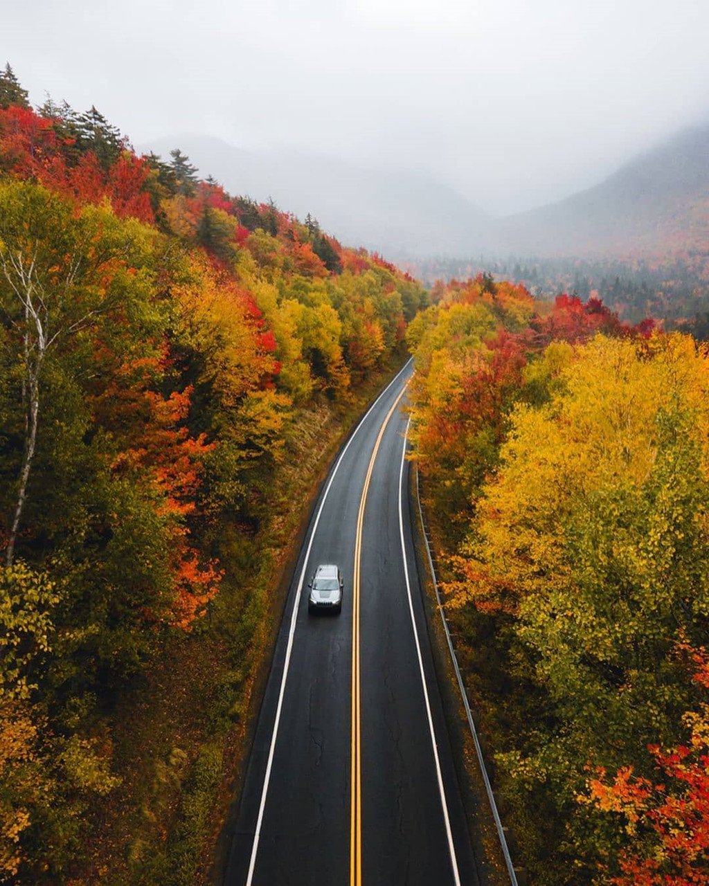 New England 9