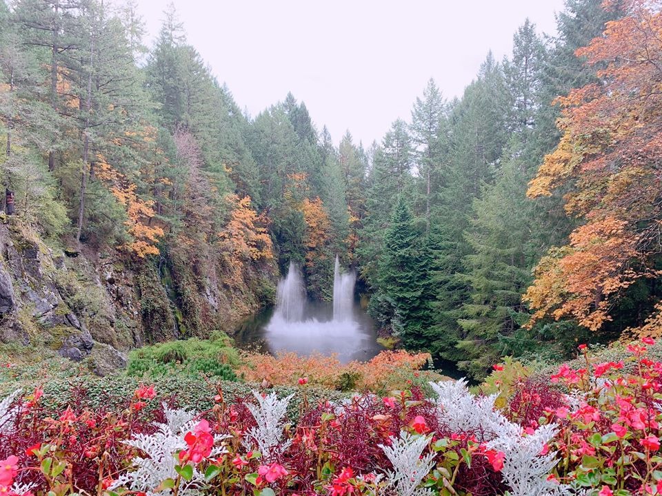 butchant gardens 3
