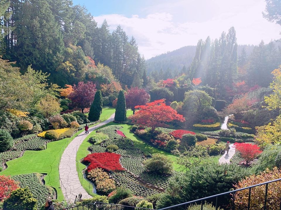 butchant gardens 4