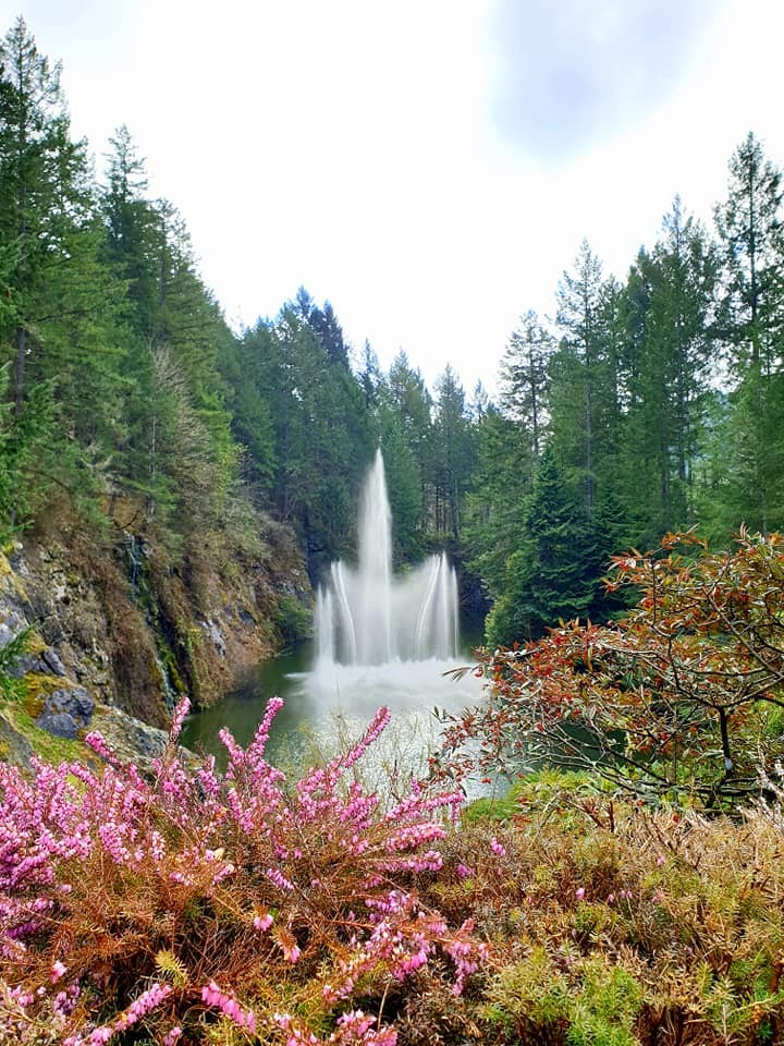 butchant gardens 5