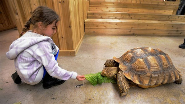 reptile zoo 2
