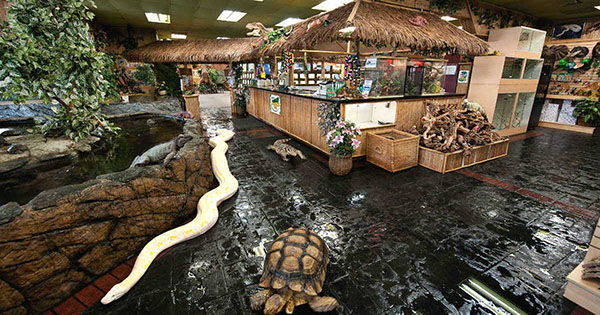 reptile zoo