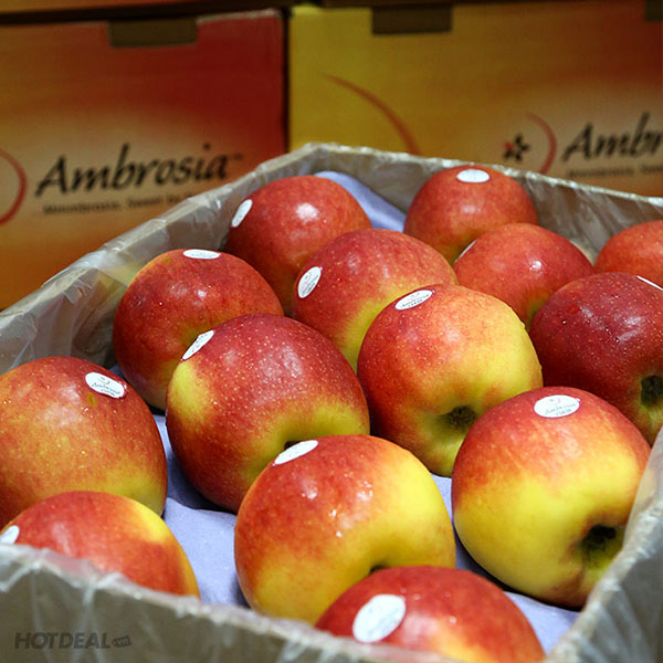 tao ambrosia