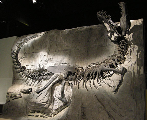 Royal Tyrrell