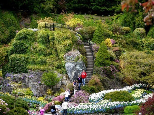 Butchart Gardens 4