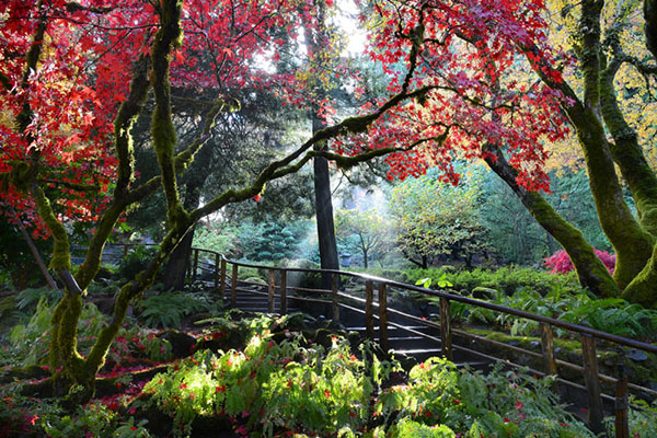 Butchart garden 7