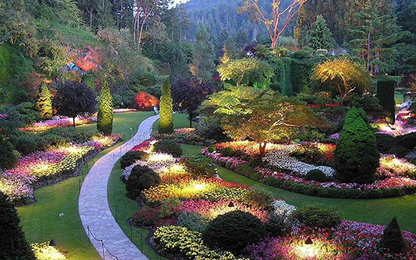 butchart garden at night