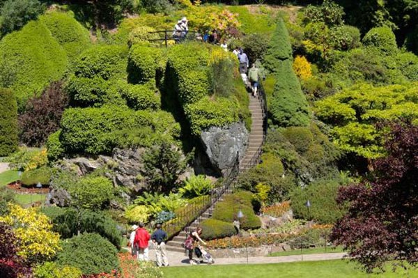 butchart gardens 3
