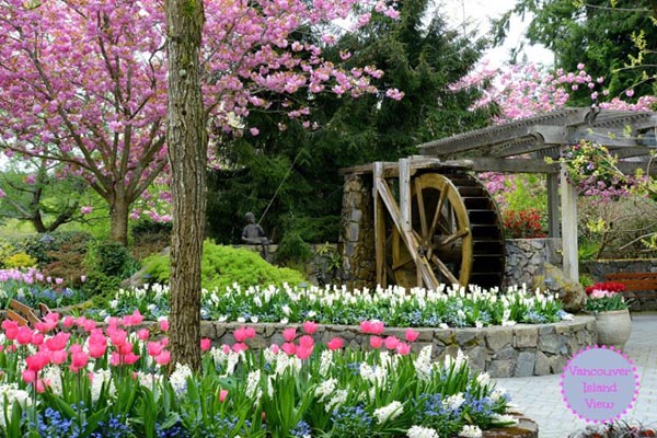 butchart gardens roll
