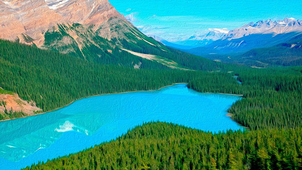 day nui rockies