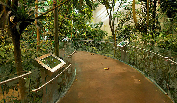 biodome jungle