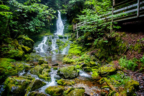 fundy national park