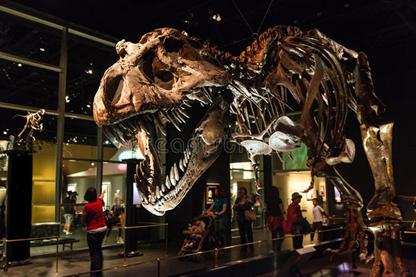 royal tyrrell museum