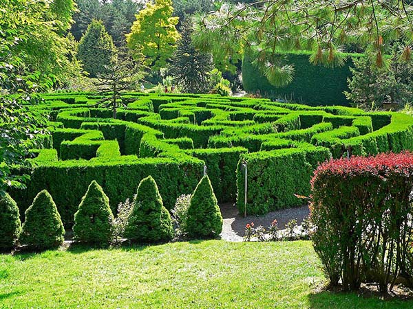 VanDusen Botanical Garden