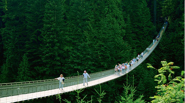 cay cau capilana suspension o canada
