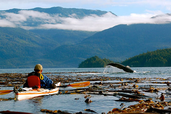 vancouver island 2