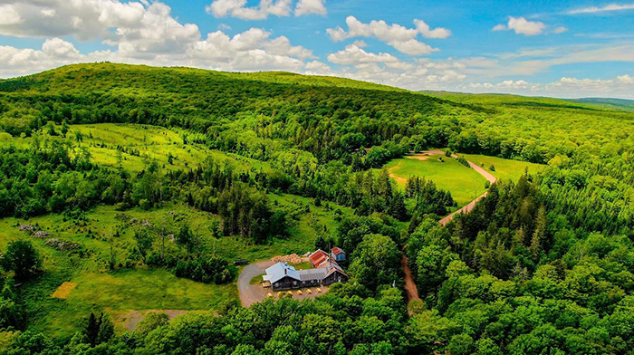 Sugar Moon Farm 4