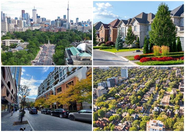 oanh tac 6 khu pho thoi thuong o toronto 4