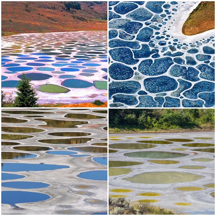 polka dot lake 2