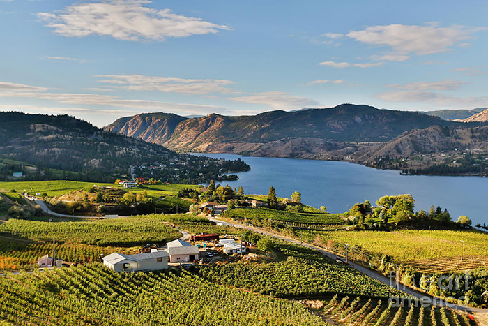 thung lung okanagan 10