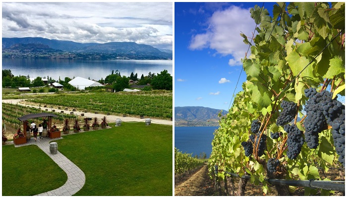 thung lung okanagan 11