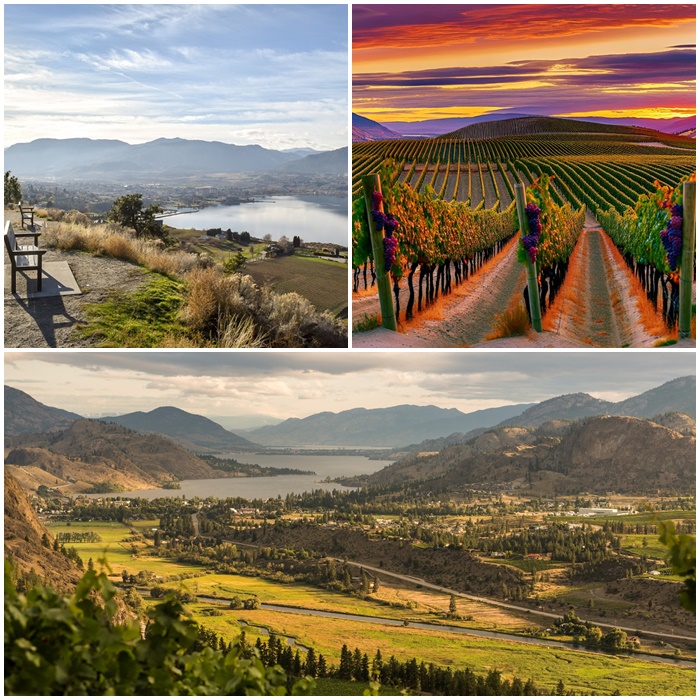thung lung okanagan 9