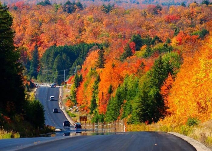 he thong giao thong duong bo tai canada 3