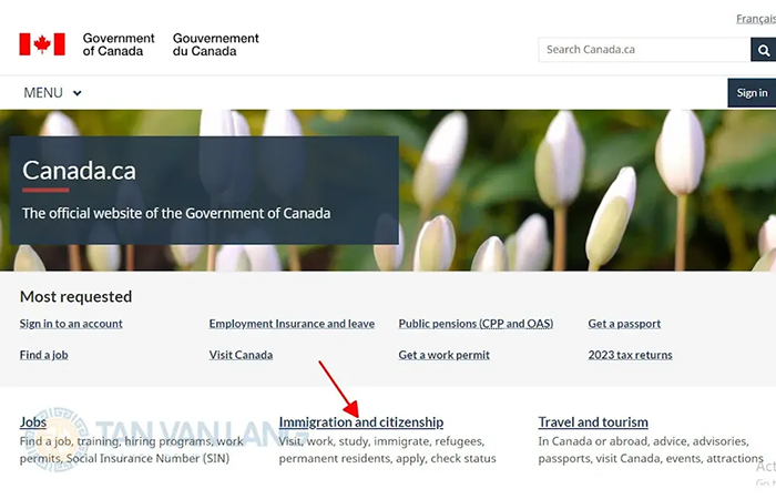 tra cuu ket qua visa canada 1